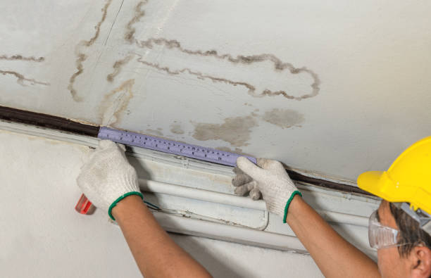 Reliable Structural Drying contractor in Wilsonville, AL by Water Damage Irwin